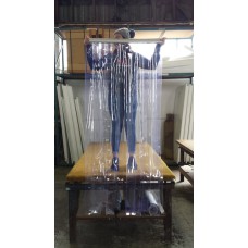Strip Curtain
